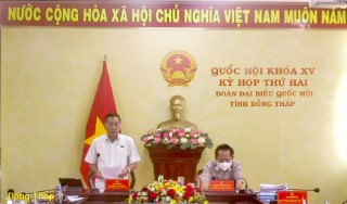 ĐẠI BIỂU PHẠM VĂN HÒA: RÀ SOÁT KỸ ĐỂ LUẬT SỬA ĐỔI CÓ 